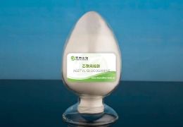 N-乙酰-D氨基葡萄糖（乙酰殼糖胺）對皮膚透明質酸合成的作用