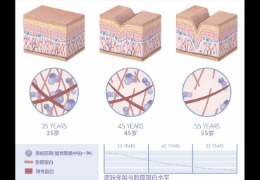 水潤皮膚的秘密武器，乙酰殼糖胺和透明質酸的甜蜜聯盟！